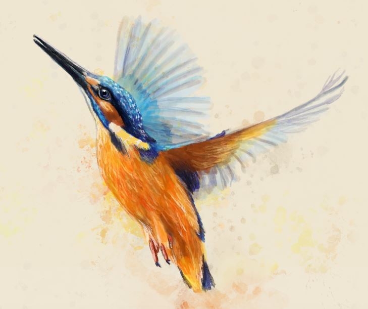 Logo von Sebastian Krüger – Gasthof „Zum Eisvogel“
