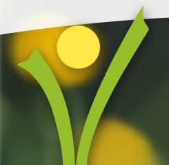 Logo von Rudolf Christoph – ErgoManus