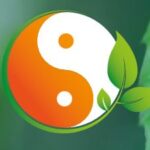 Screenshot – Erfolge - Internetagentur SEO Lausitz