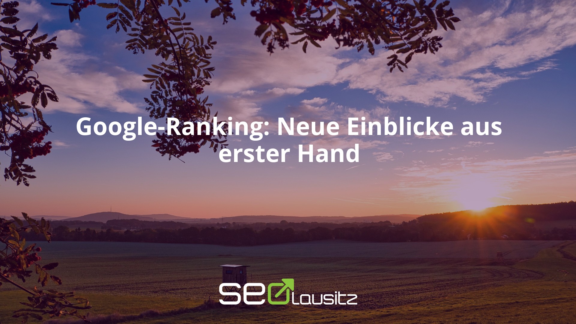 Google-Ranking: Neue Einblicke aus erster Hand