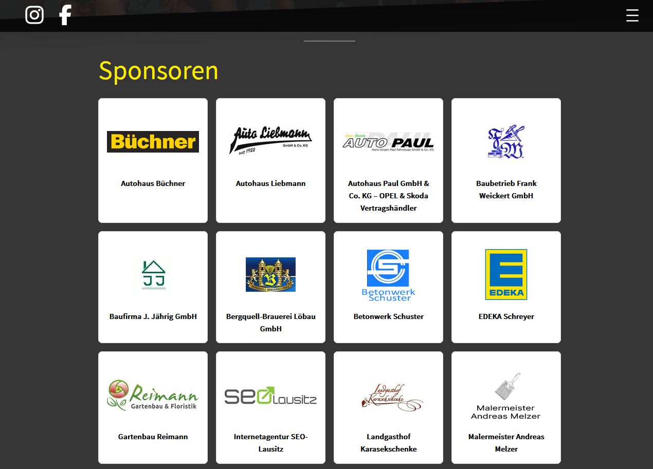 Design-Element – Relaunch für den TBSV - moderner, mobiler & voll vernetzt - Internetagentur SEO Lausitz